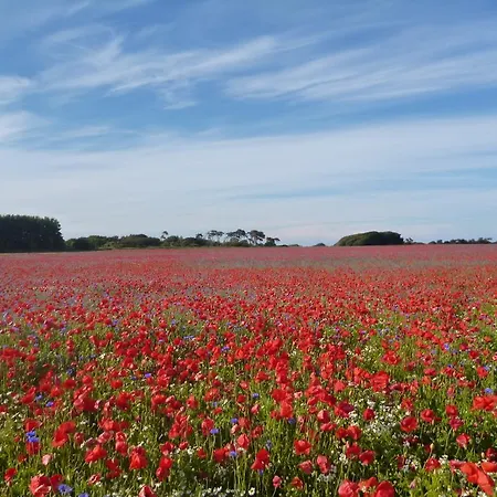 בית נופש Haus Lavendel Lancken